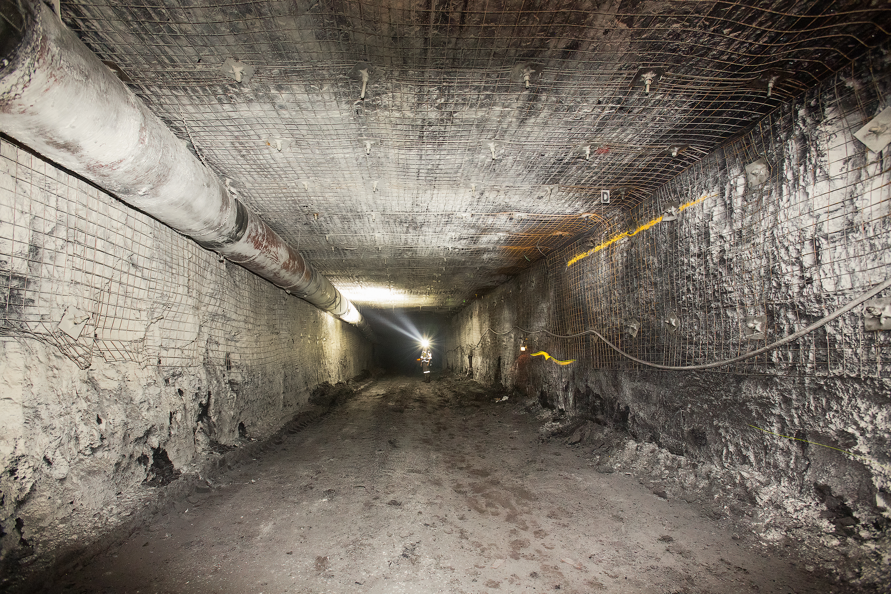 The New DSI-PEAK Rock Bolt Challenges Conventional Bolting Techniques in Underground Coal Mines The New DSI-PEAK Rock Bolt Challenges Conventional Bolting Techniques in Underground Coal Mines